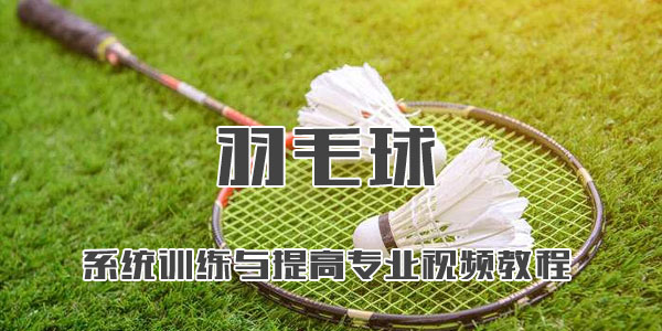 李在福-羽毛球系统训练与提高专业视频教程