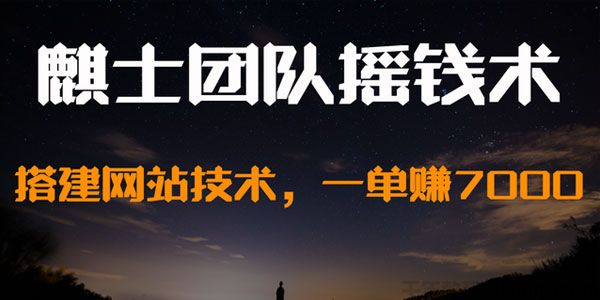 麒士团队摇钱术11：搭建网站技术 一单赚7000