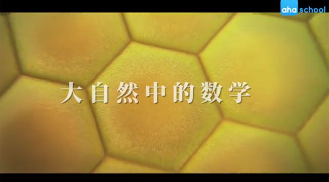[百度网盘]芝麻学社 大自然中的数学[视频][393.03M]