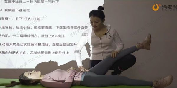 瑜老师-张美玲《内脏筋膜实操手法精讲系统课》
