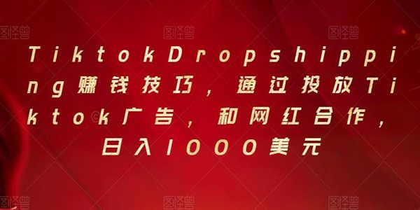 Tiktok Dropshipping赚钱技巧 投放Tiktok广告日入千美元