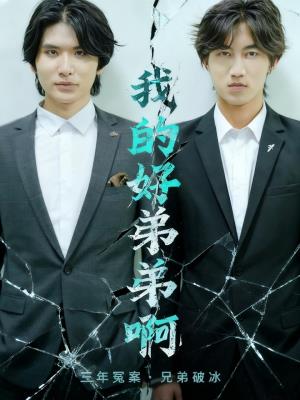 我的好弟弟啊