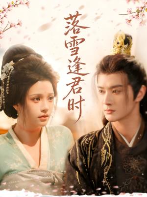 落雪逢君时