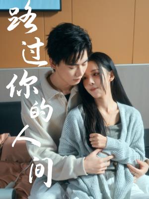 路过你的人间