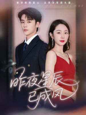 昨夜星辰已成风