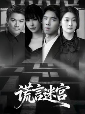 谎言迷宫
