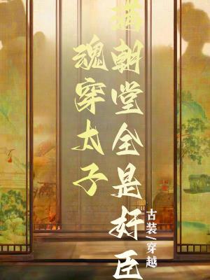 魂穿太子满朝堂全是奸臣