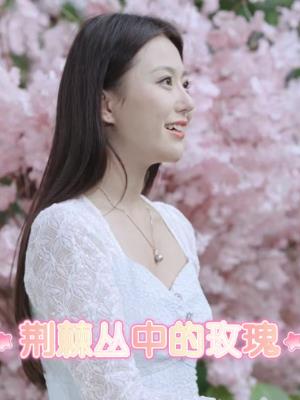 荆棘丛中的玫瑰