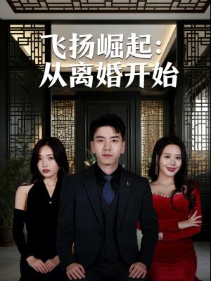 飞扬崛起：从离婚开始