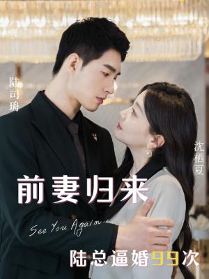 前妻归来，陆总逼婚99次