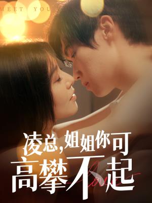 凌总姐姐你可高攀不起