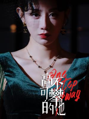 高不可攀的她