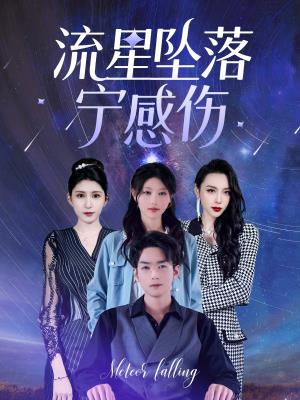 流星坠落宁感伤