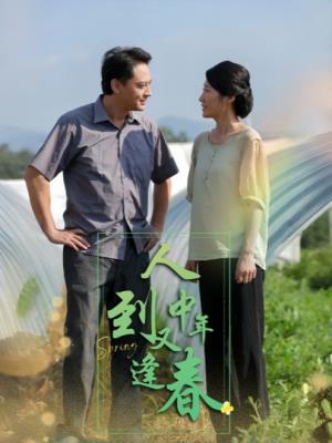 人到中年又逢春