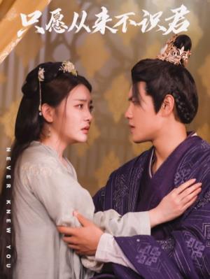 只愿从来不识君