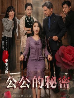 公公的秘密