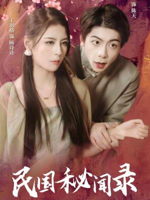 民国秘闻录