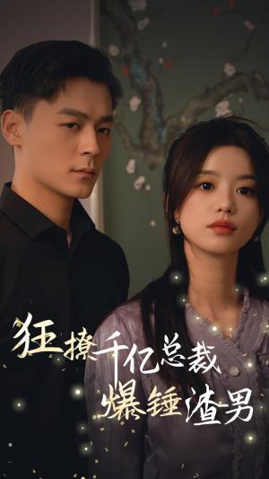 狂撩千亿总裁爆锤渣男