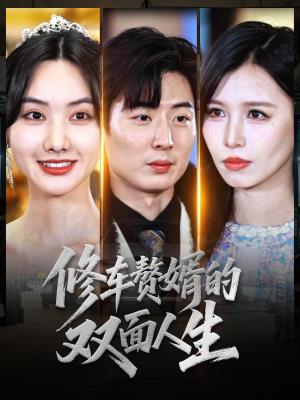修车赘婿的双面人生