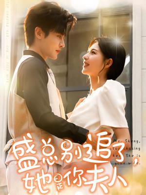 盛总别追了，她是你夫人