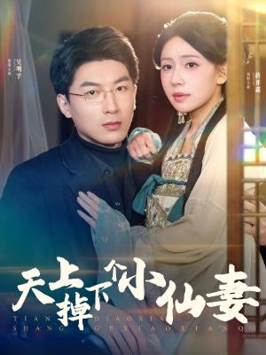 天上掉下个小仙妻