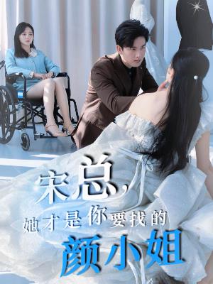 宋总，她才是你要找的颜小姐