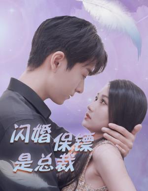 闪婚保镖是总裁