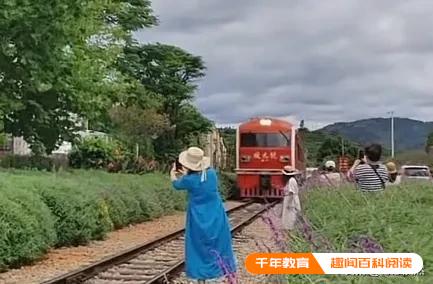 两女子不顾鸣笛铁轨旁拍照逼停火车(图2)