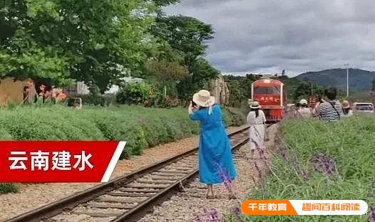 两女子不顾鸣笛铁轨旁拍照逼停火车(图1)